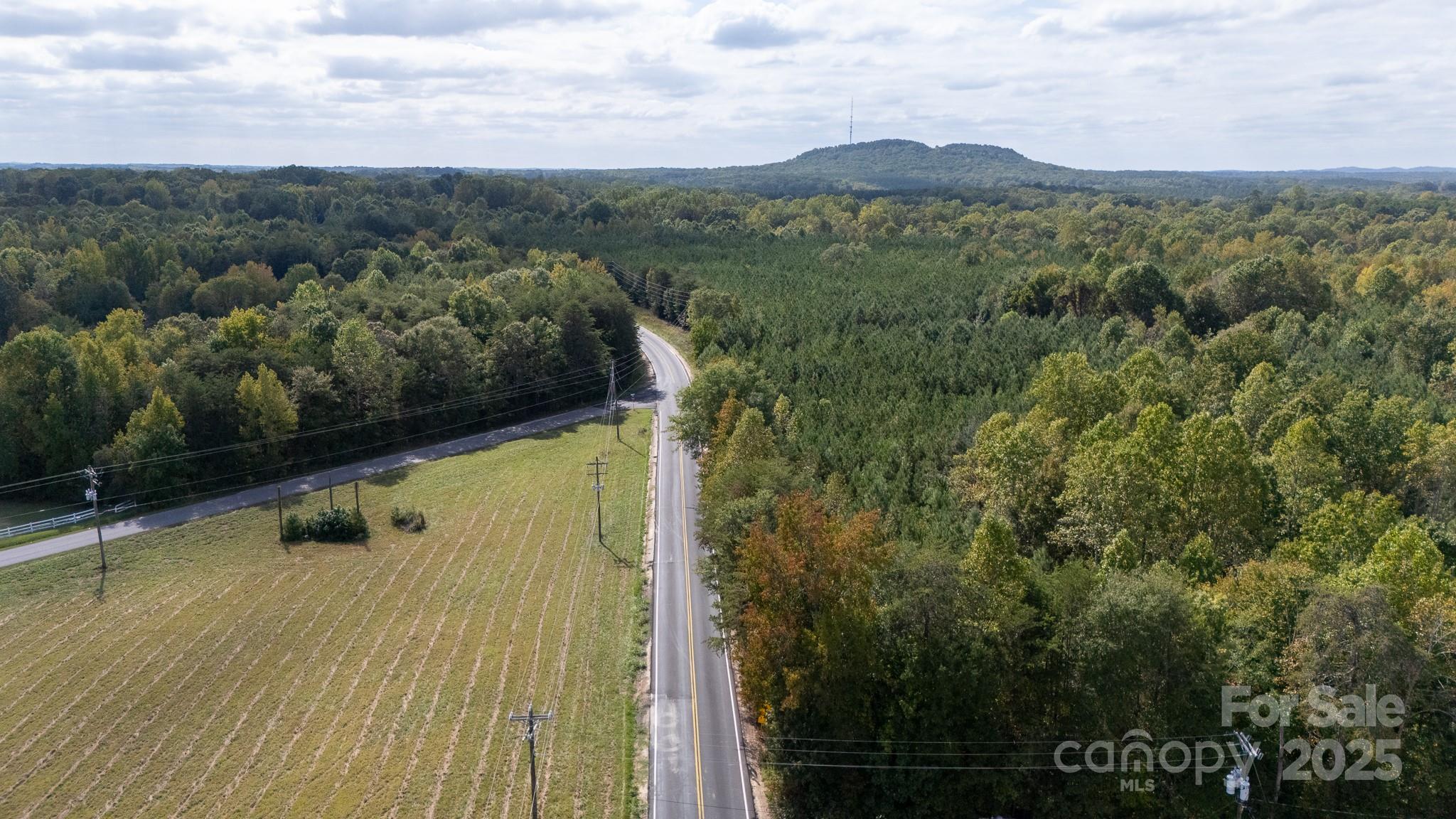 Lot 1 Rhyne Road Clover, SC 29710 - Photo 5 of 17 a view of a lot of a green space