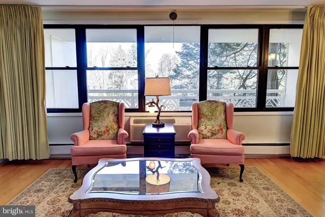 a living room with furniture a rug and a large window