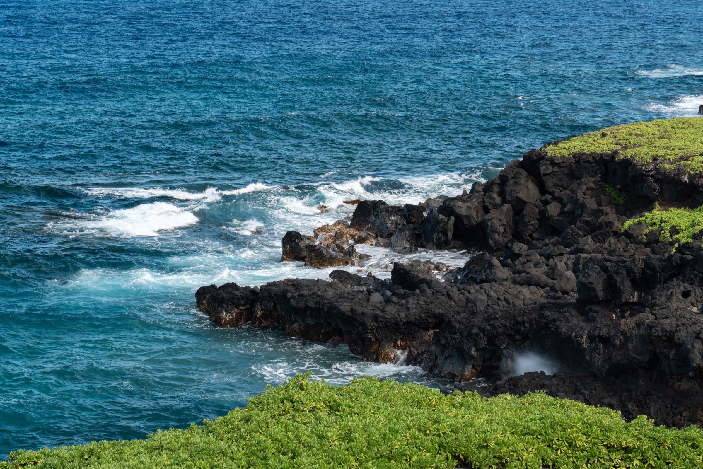 51 Kapohue Road Hana, HI 96713 - Photo 40 of 50 a backyard of a house