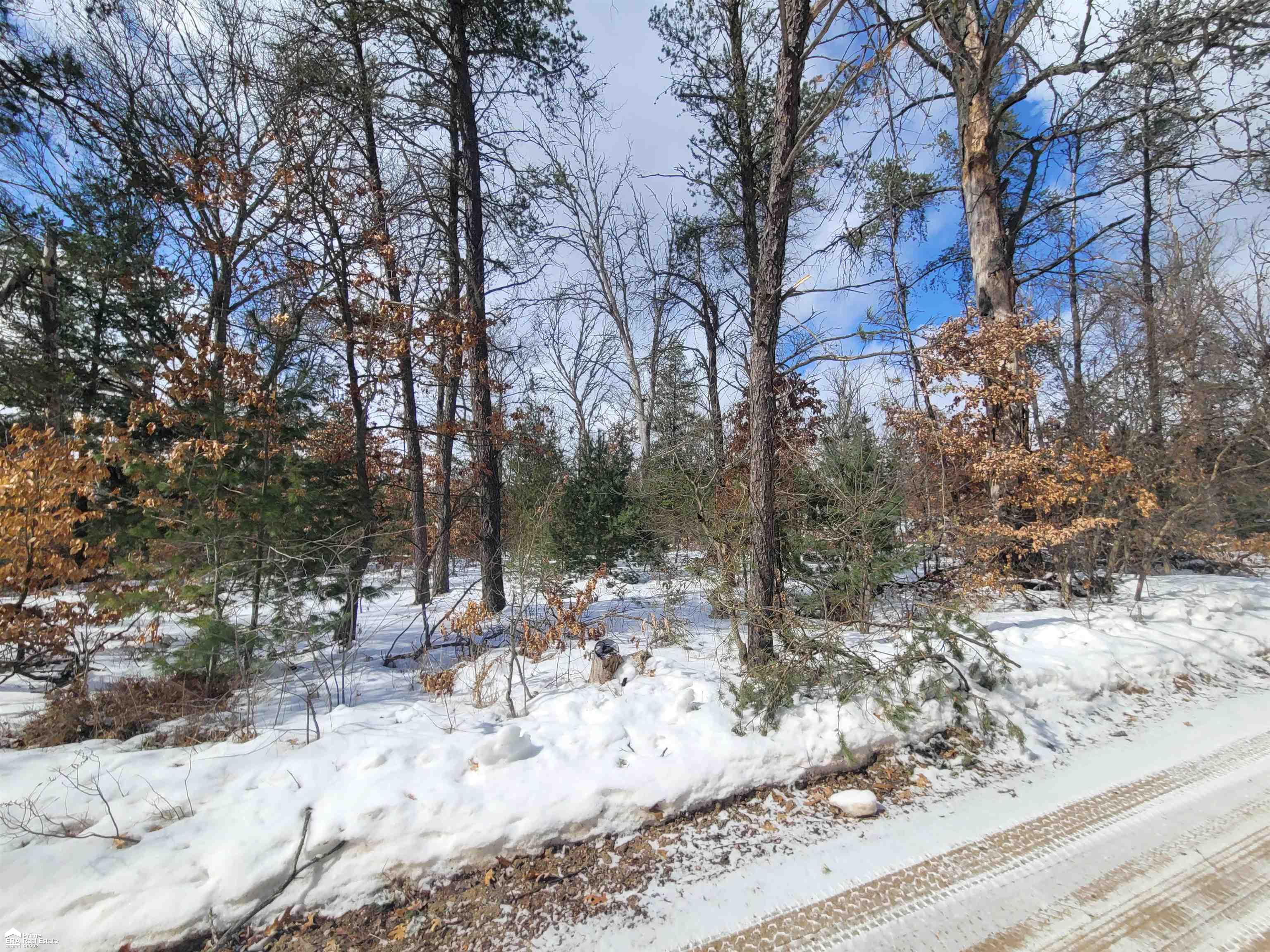 V/l Edith Schneider Road Harrison, MI 48625 - Photo 7 of 7
