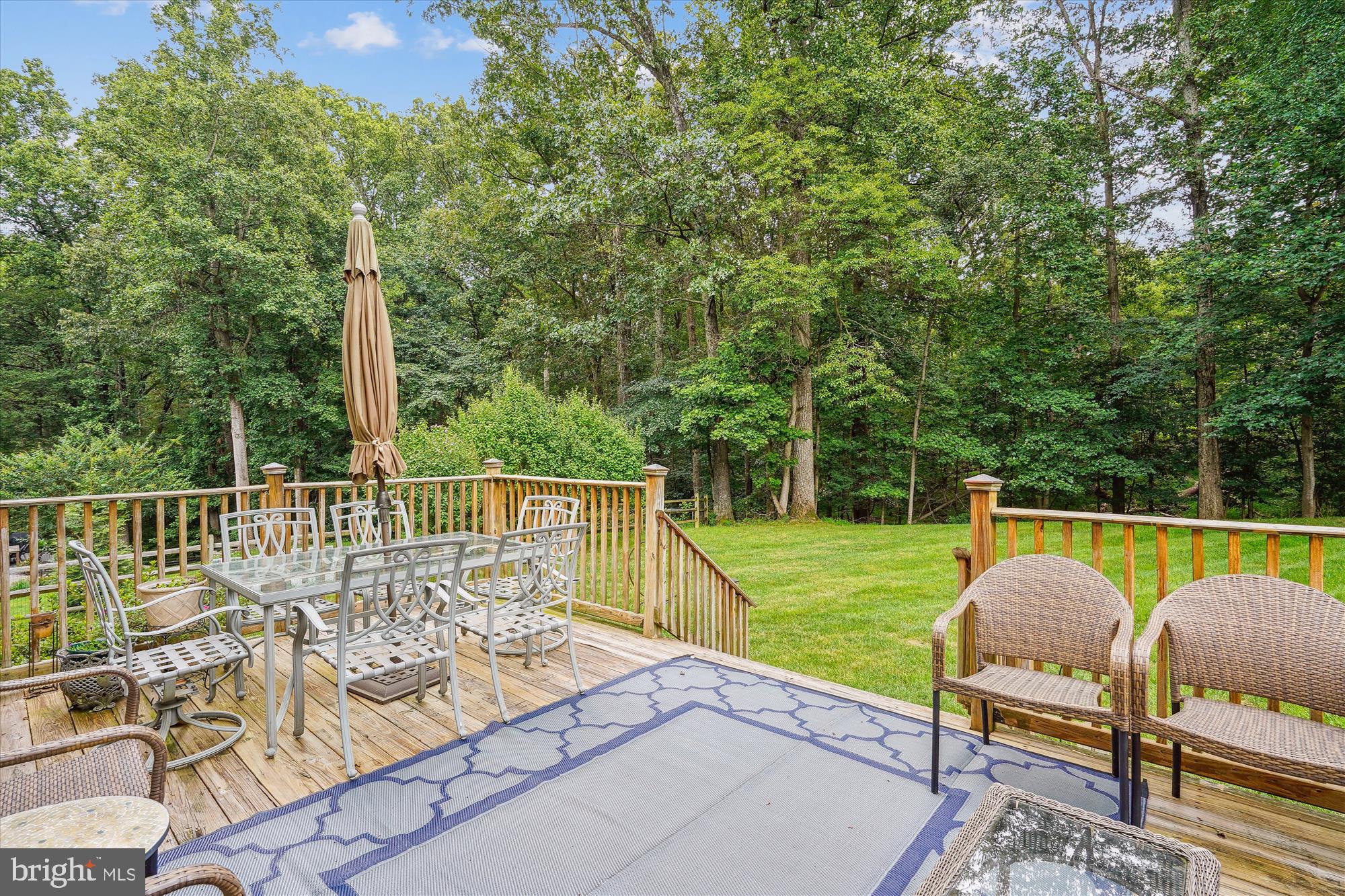 3307 Miller Heights Road Oakton, VA 22124 - Photo 19 of 56 Spacious Deck with Wooded Views