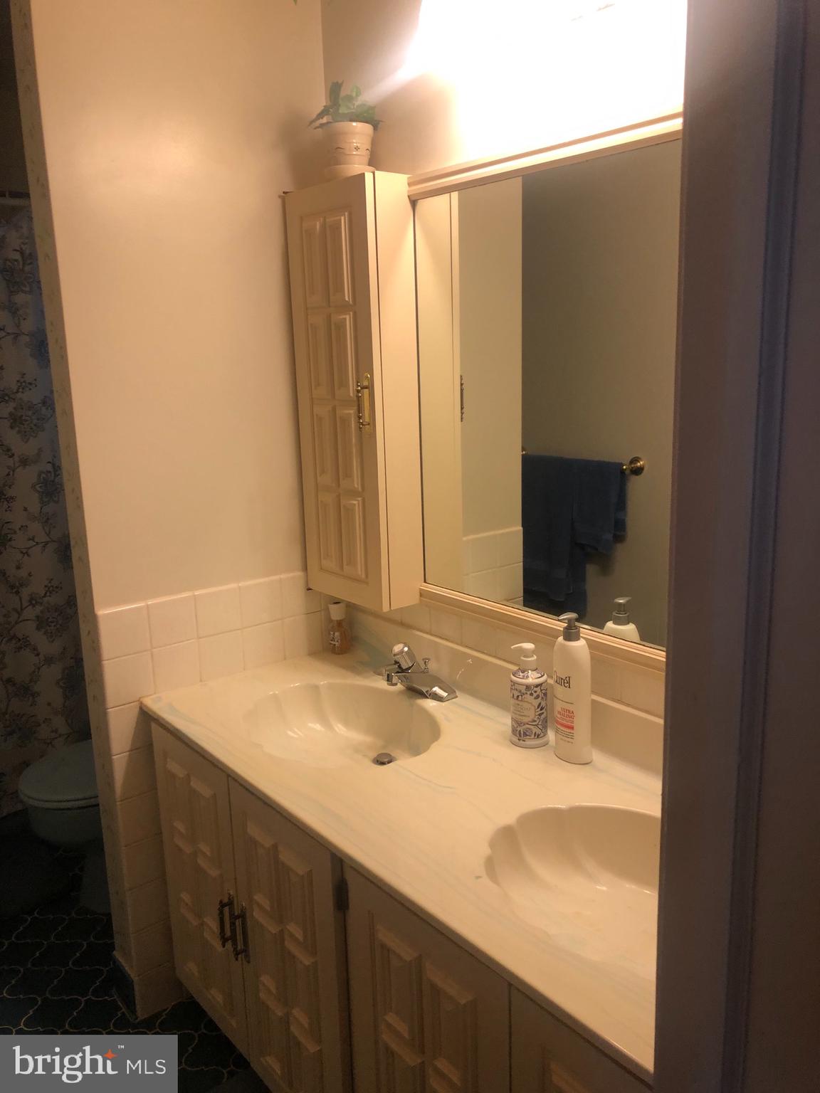 727 Pheasant Run Road West Chester, PA 19382 - Photo 46 of 73 Full Bath in Hallway