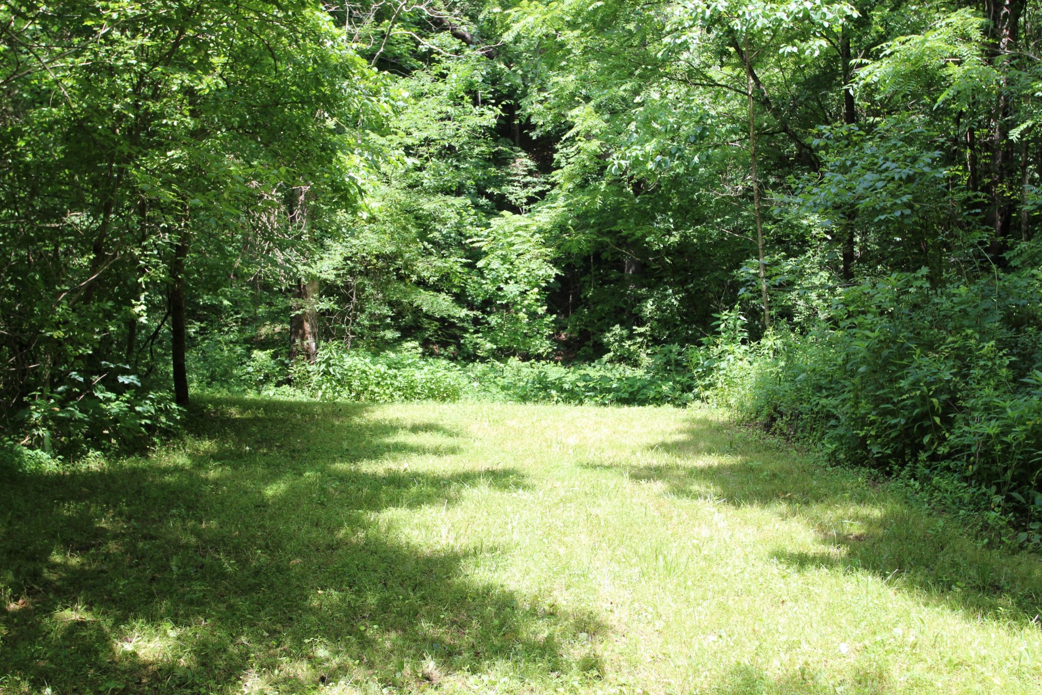0 Dancer Branch Road Stewart, TN 37175 - Photo 14 of 49