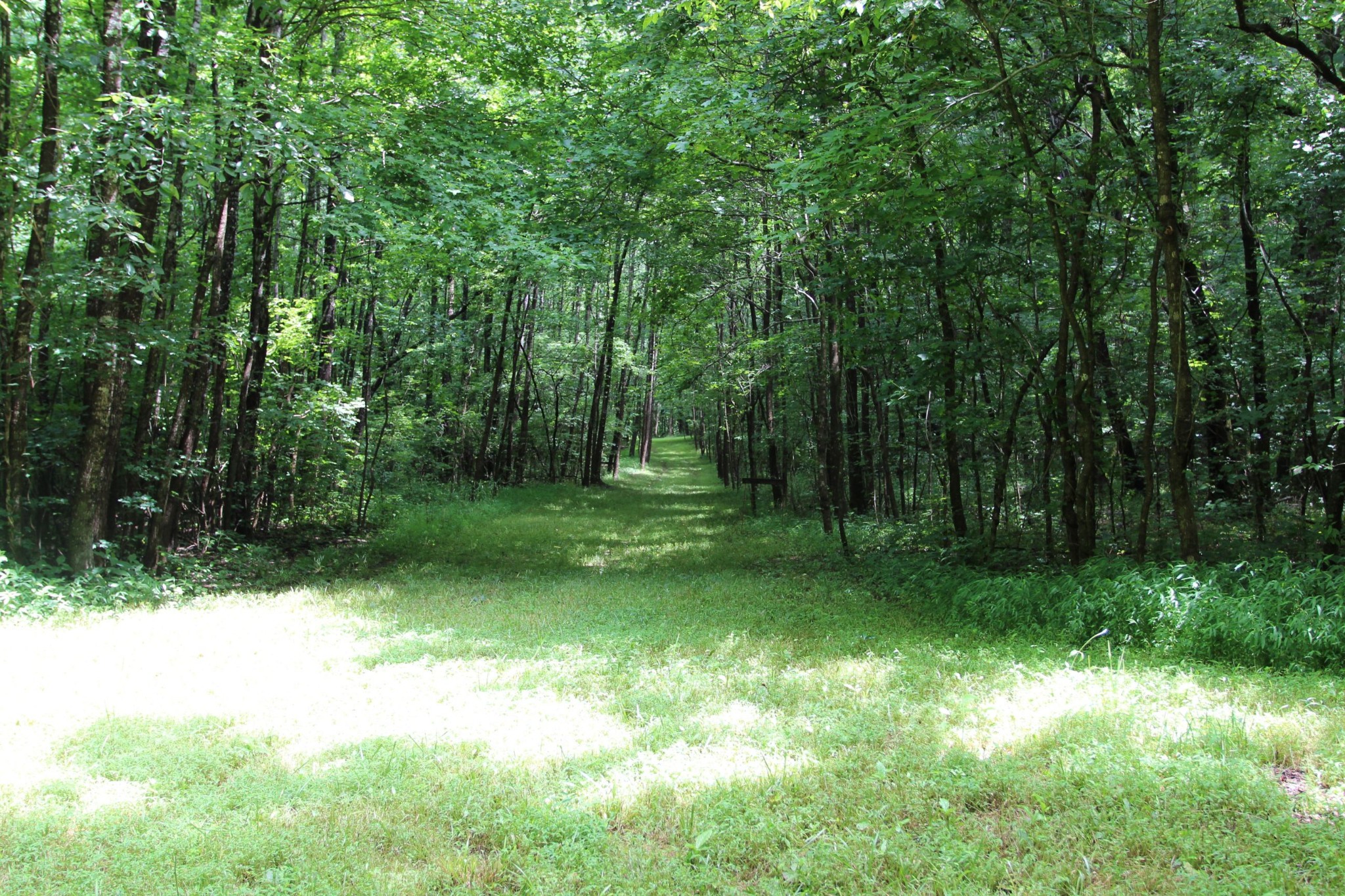 0 Dancer Branch Road Stewart, TN 37175 - Photo 22 of 49
