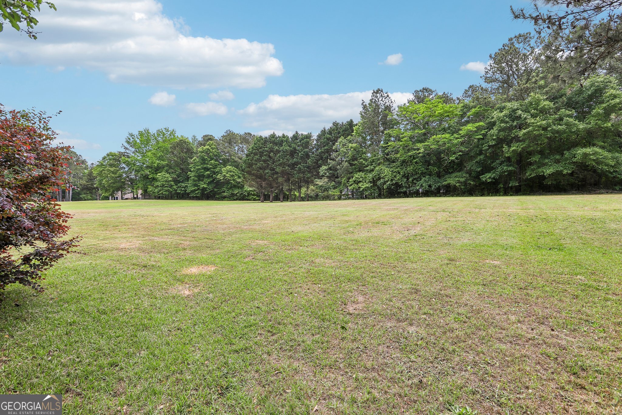 240 East Crestwood Road Tyrone, GA 30290 - Photo 33 of 34