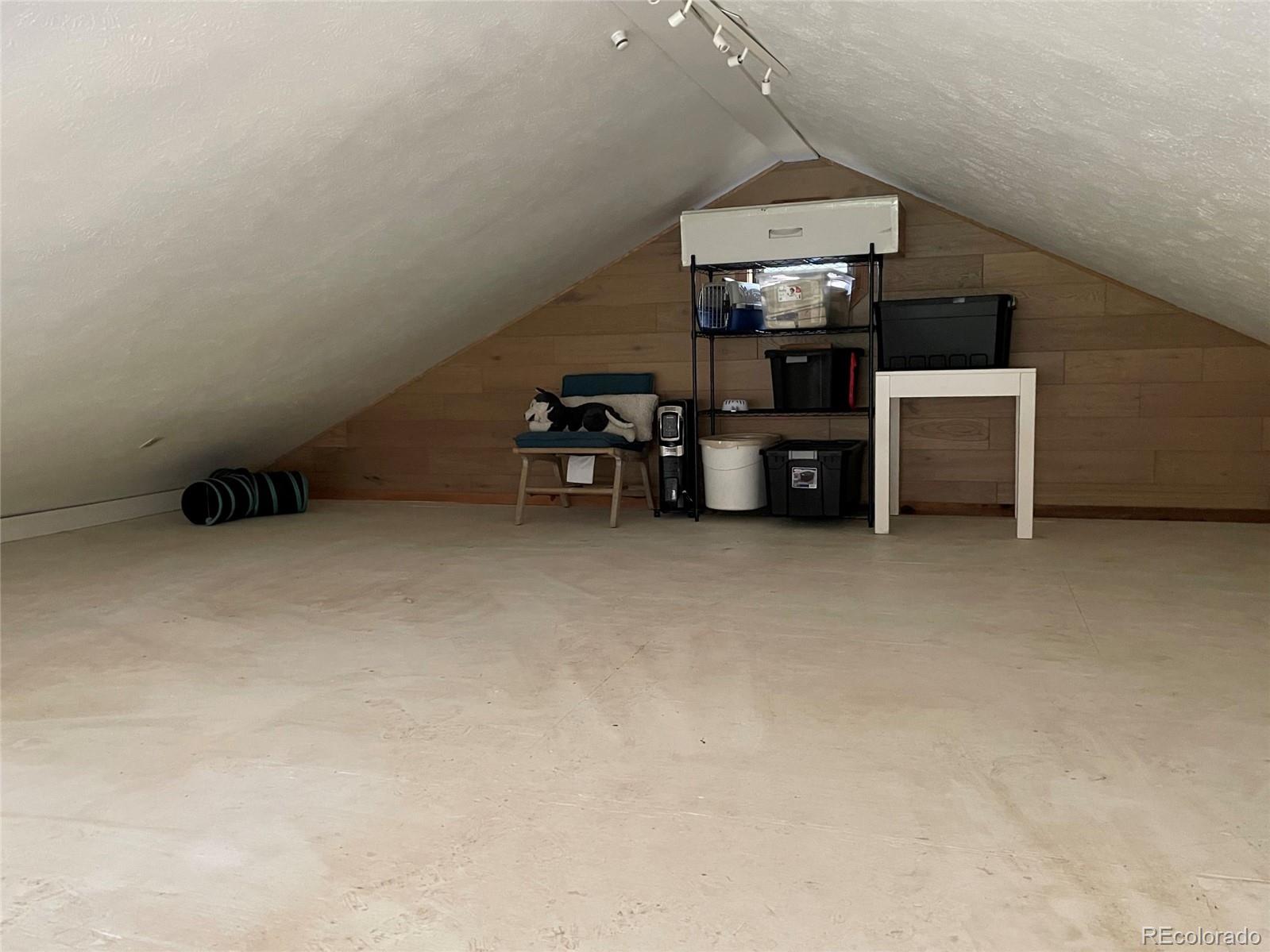 69 County Road 114 Bailey, CO 80421 - Photo 16 of 34 an empty room with furniture and natural light