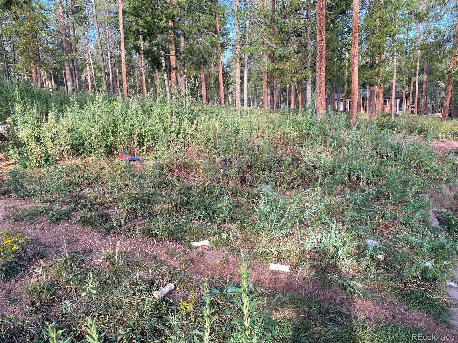 69 County Road 114 Bailey, CO 80421 - Photo 20 of 34 a view of a park that has large trees