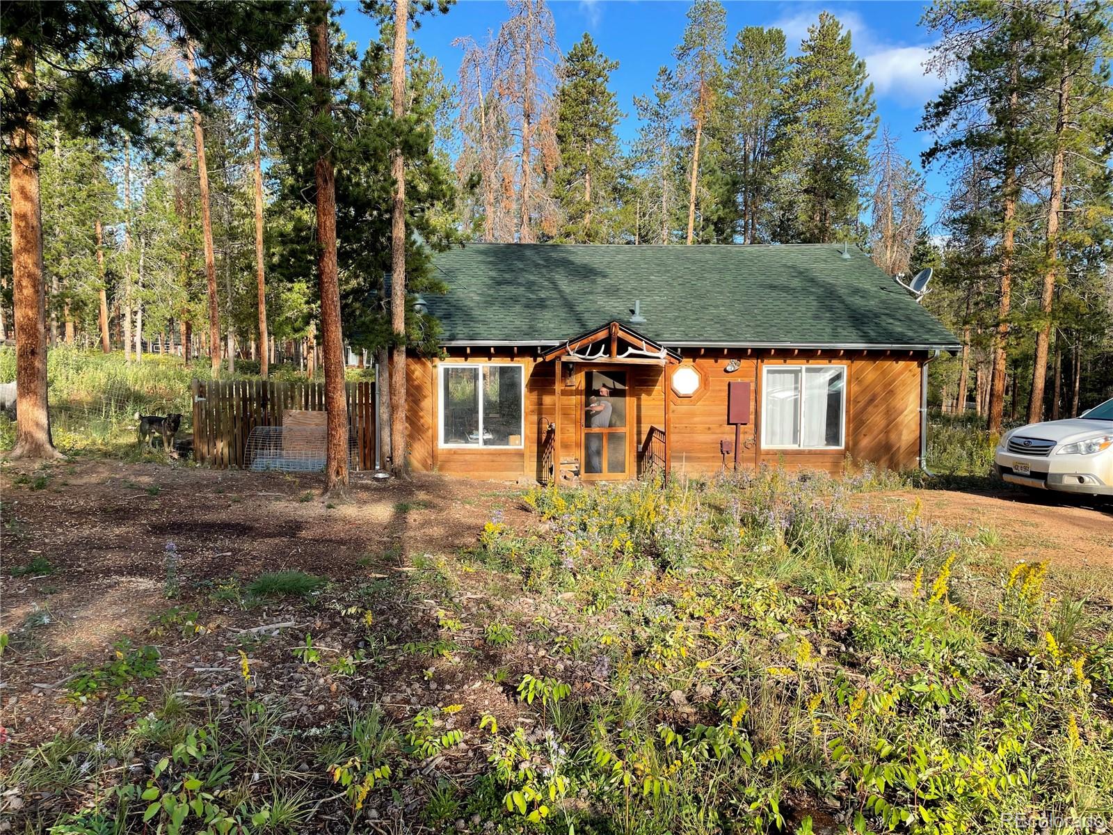 69 County Road 114 Bailey, CO 80421 - Photo 23 of 34 a view of house with outdoor space