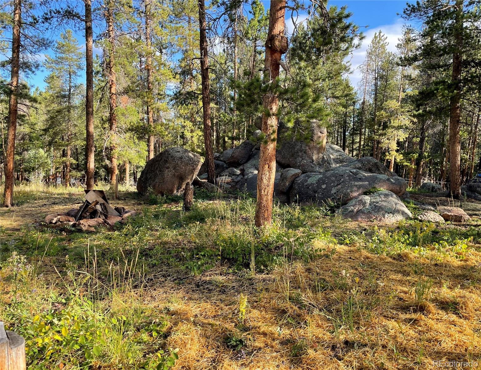 69 County Road 114 Bailey, CO 80421 - Photo 26 of 34 a view of a lake with houses