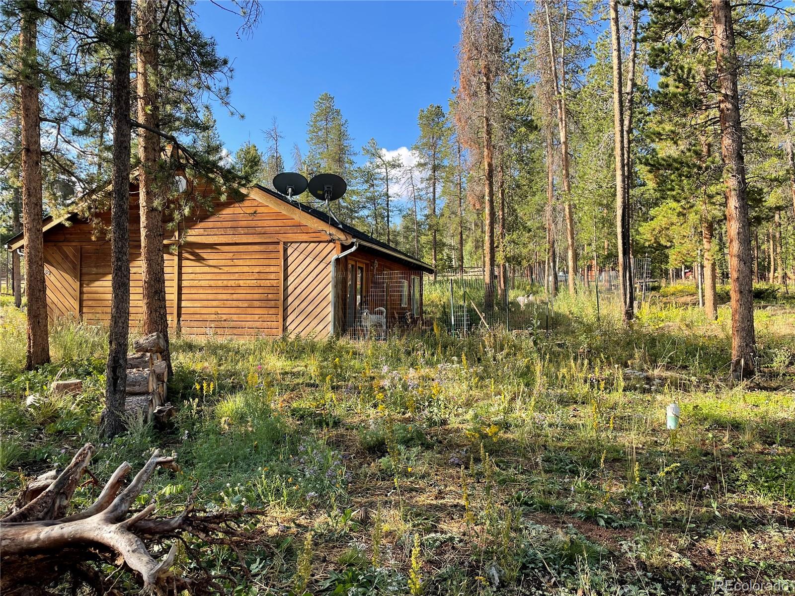 69 County Road 114 Bailey, CO 80421 - Photo 29 of 34 a view of a house with a yard