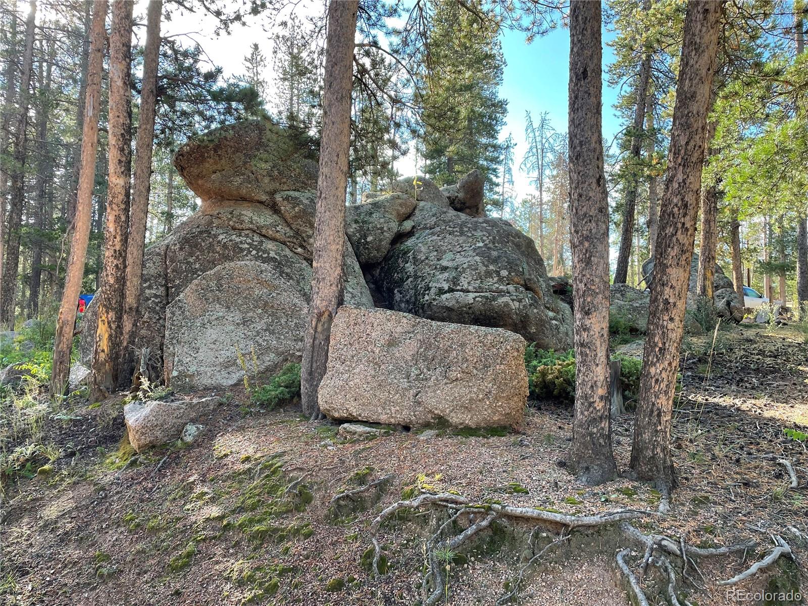 69 County Road 114 Bailey, CO 80421 - Photo 30 of 34 a view of outdoor space and yard