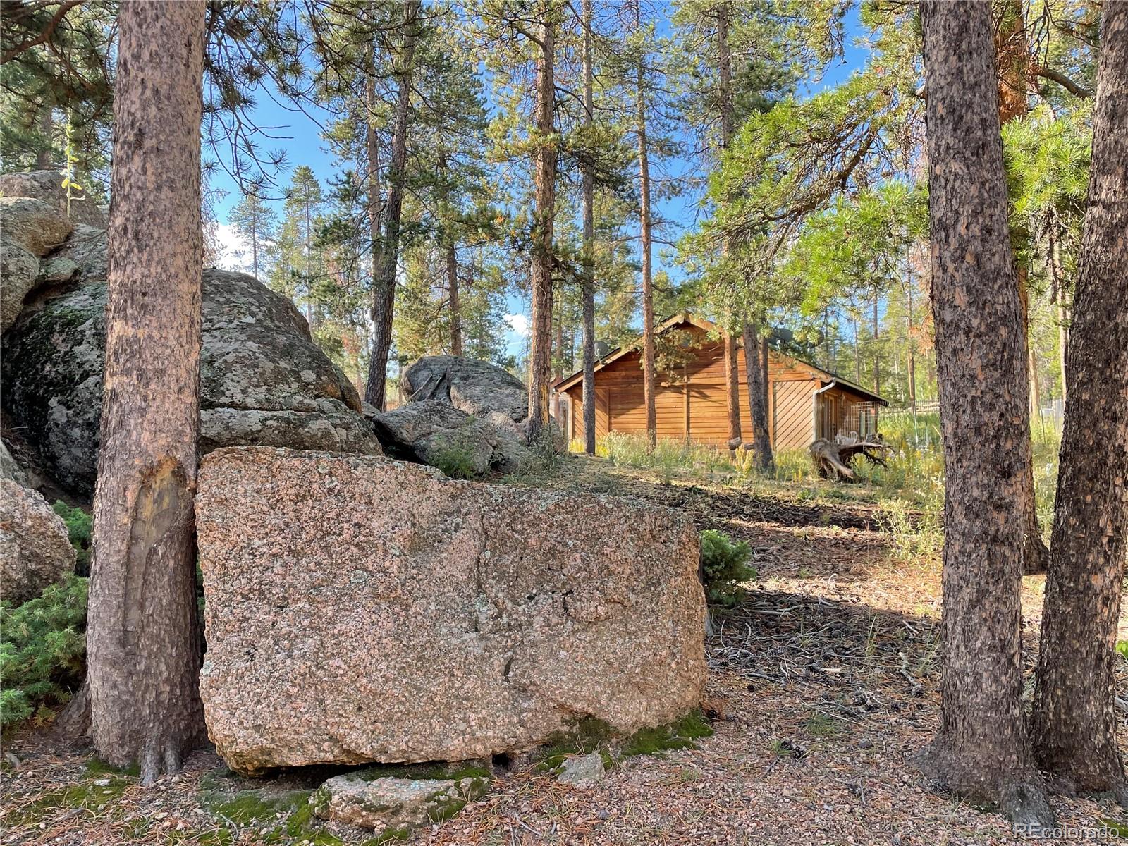 69 County Road 114 Bailey, CO 80421 - Photo 31 of 34 a front view of a house with a yard