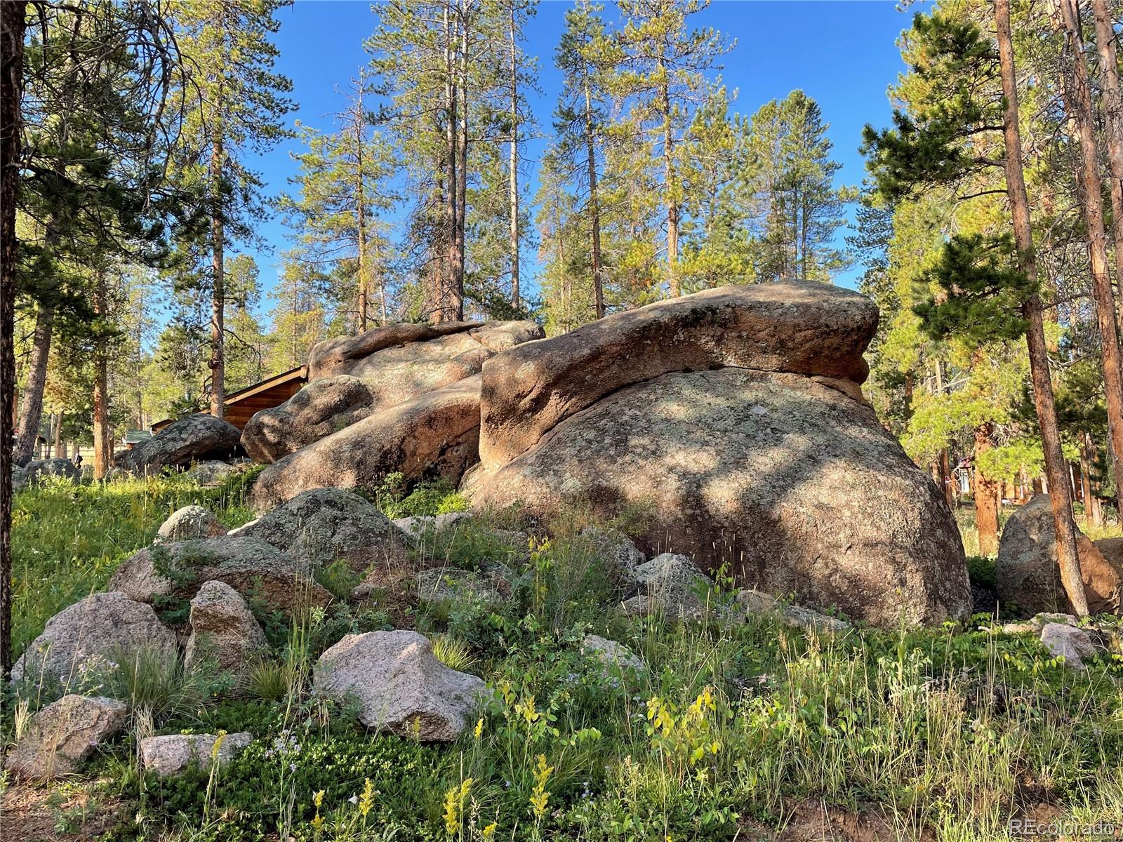 69 County Road 114 Bailey, CO 80421 - Photo 33 of 34 a view of building
