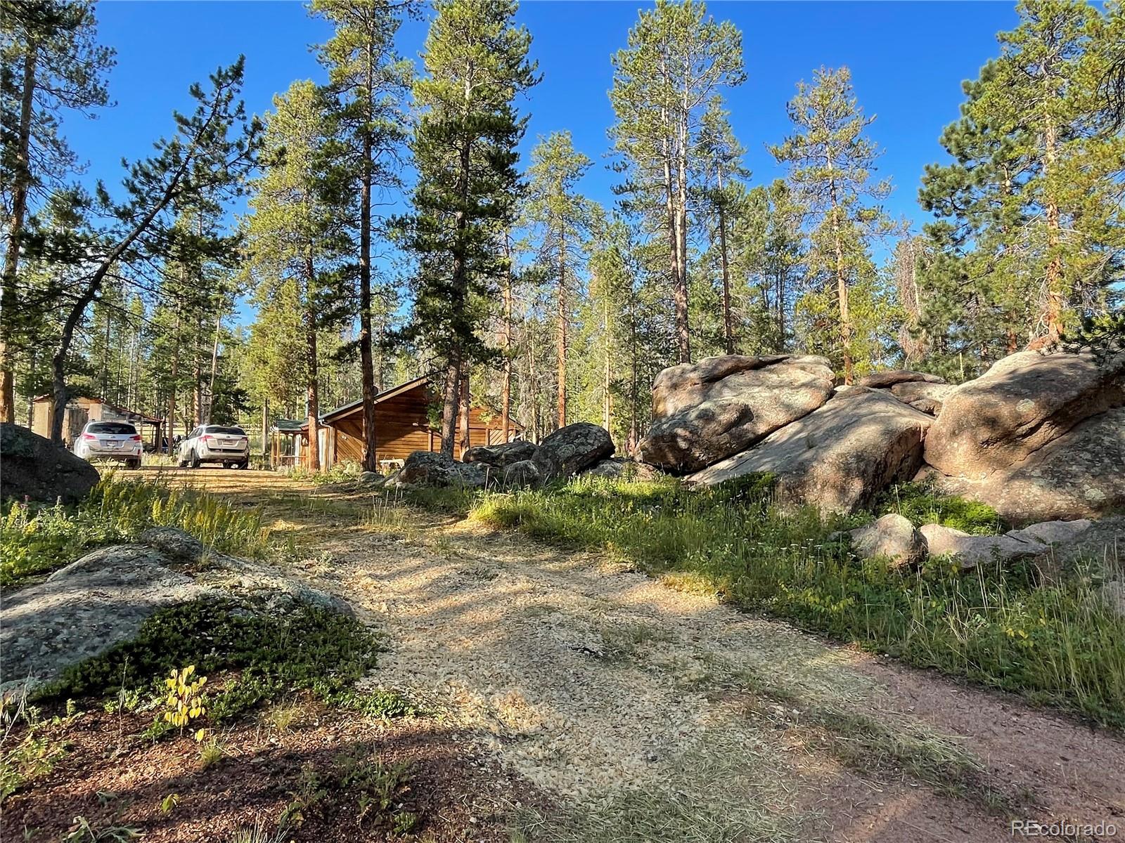 69 County Road 114 Bailey, CO 80421 - Photo 34 of 34 a view of a yard with plants and large trees