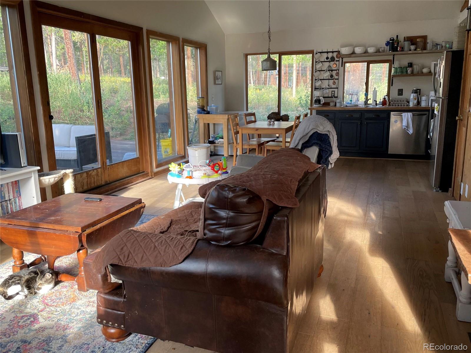 69 County Road 114 Bailey, CO 80421 - Photo 8 of 34 a living room with furniture and large windows