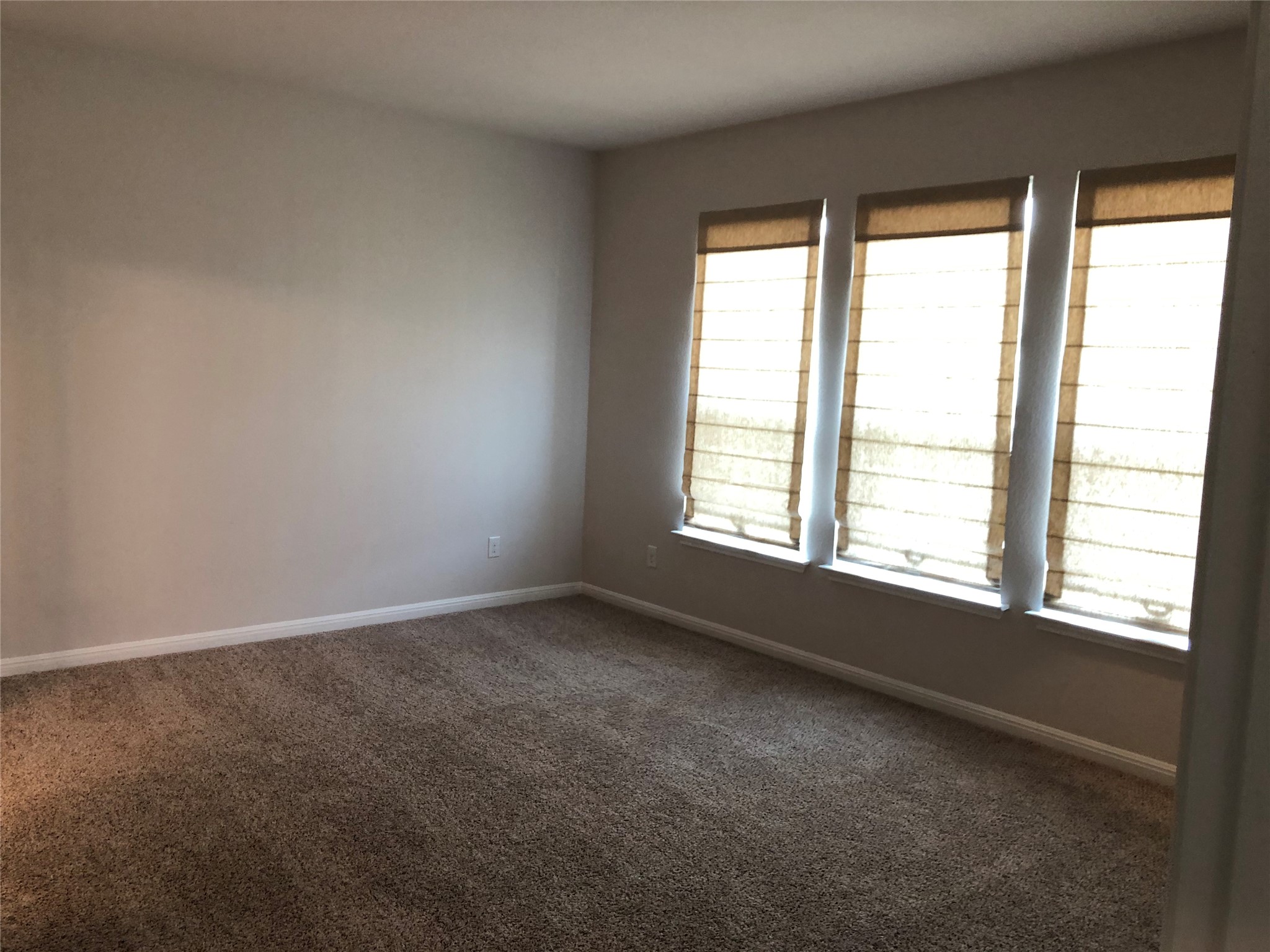 2746 Fortezza Way Round Rock, TX 78665 - Photo 7 of 16 Plentiful natural light streams through a trio of windows onto plush carpeting.