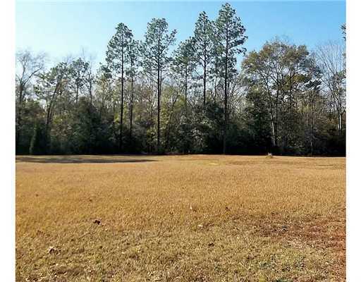 Brooks Road Lucedale, MS 39452 - Photo 1 of 10 Primary Photo
