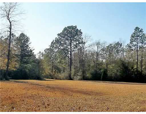 Brooks Road Lucedale, MS 39452 - Photo 3 of 10 Additional Photo