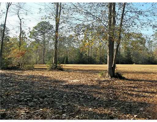 Brooks Road Lucedale, MS 39452 - Photo 4 of 10 Additional Photo