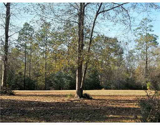 Brooks Road Lucedale, MS 39452 - Photo 6 of 10 Additional Photo