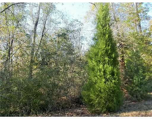 Brooks Road Lucedale, MS 39452 - Photo 9 of 10 Additional Photo