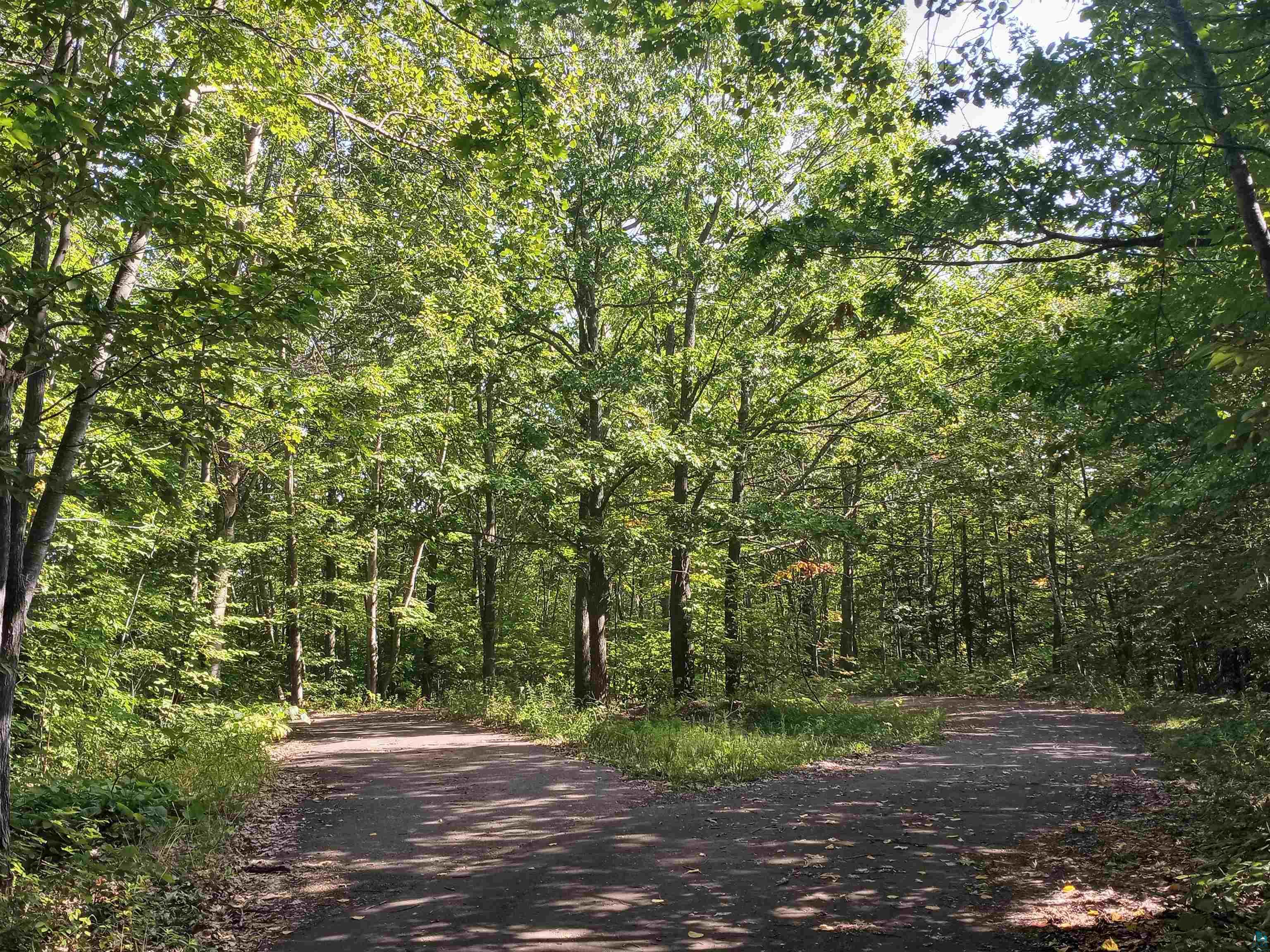 Lot 24 Hidden View Lane Bayfield, WI 54814 - Photo 2 of 4