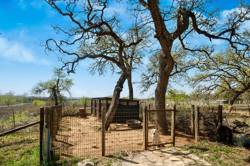 1575 Knopp School Road Fredericksburg, TX 78624 - Photo 3 of 5 Gallery Image 3