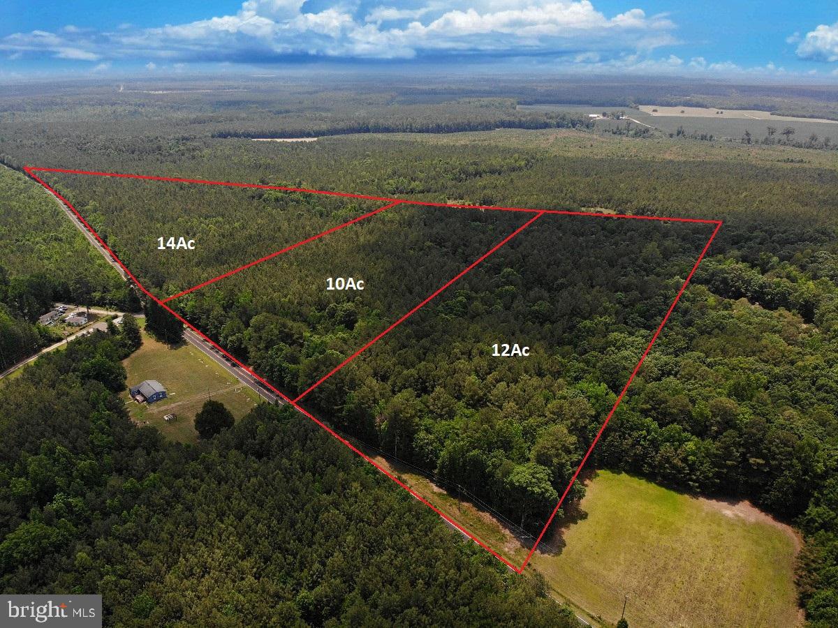 0 Salisbury Road Spring Grove, VA 23881 - Photo 11 of 23