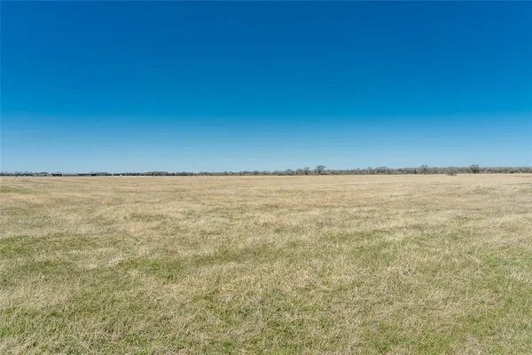 a view of a lake view with a dry trees