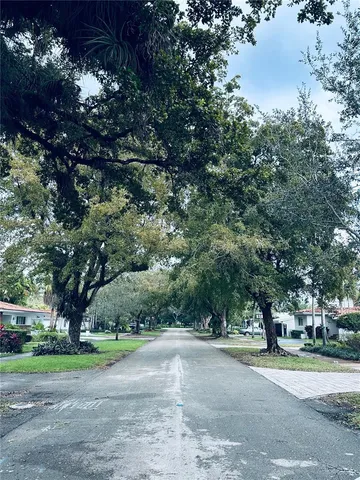 a view of a trees with a yard