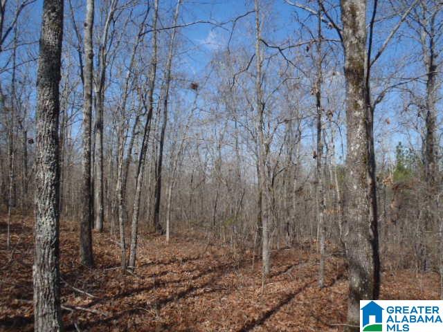 0 Shocco Springs Road, Unit 40 5 AC Talladega, AL 35160 - Photo 2 of 30