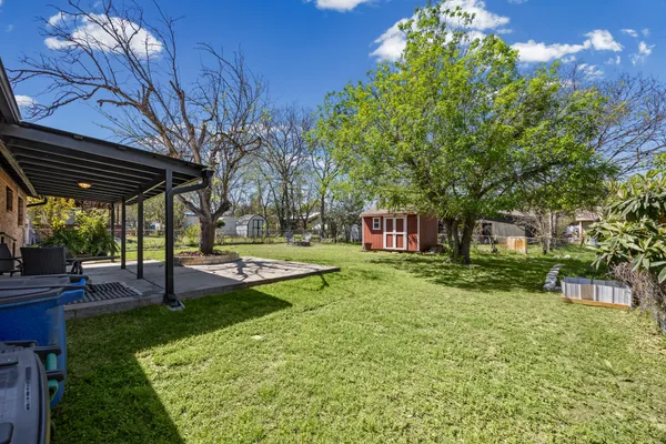 a view of a yard with plants and trees
