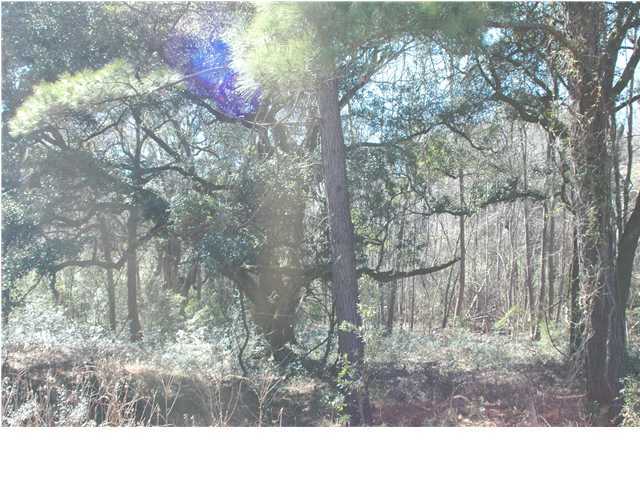 1 Oak Island Road Edisto Island, SC 29438 - Photo 1 of 6 Primary Photo