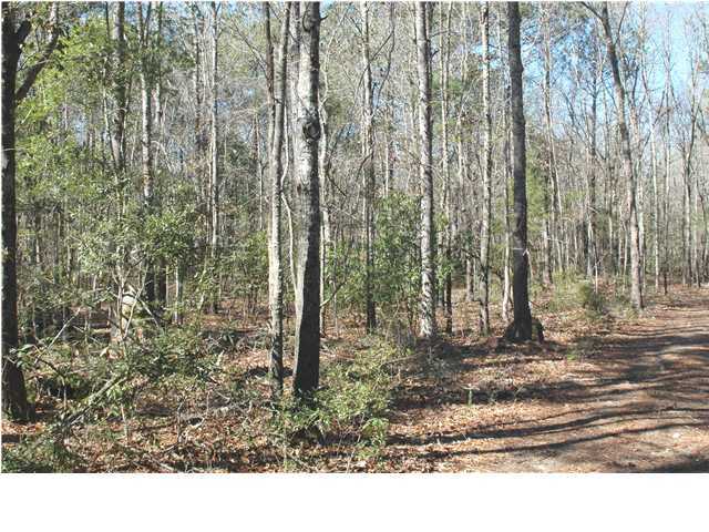 1 Oak Island Road Edisto Island, SC 29438 - Photo 2 of 6 Additional Photo