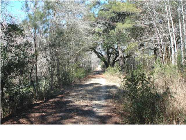 1 Oak Island Road Edisto Island, SC 29438 - Photo 3 of 6 Additional Photo