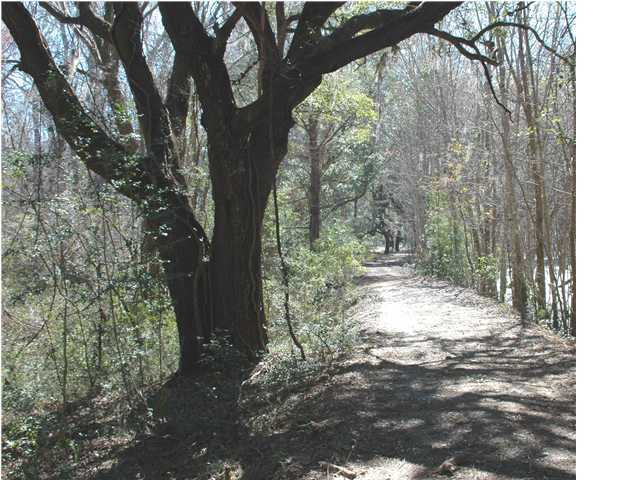 1 Oak Island Road Edisto Island, SC 29438 - Photo 4 of 6 Additional Photo