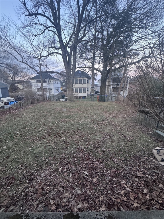 35 Mendelssohn Street, Unit 2 Boston, MA 02131 - Photo 12 of 13 a view of a yard with plants and trees
