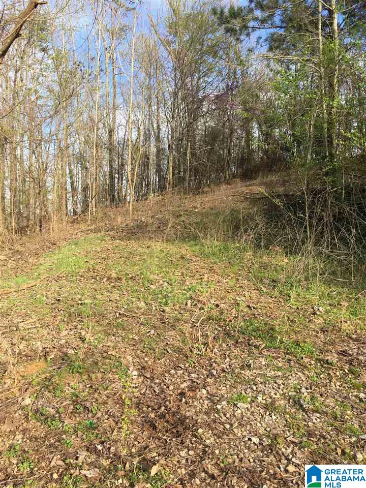 230 County Line Road Oxford, AL 36203 - Photo 12 of 50