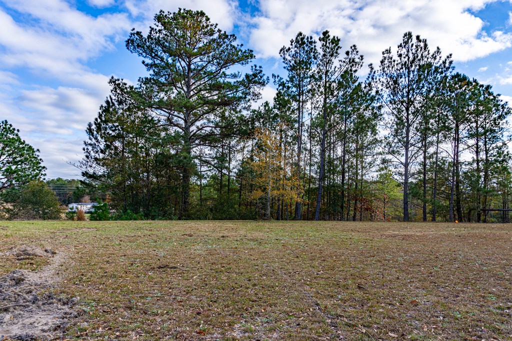 2 Kitetown Road Seale, AL 36875 - Photo 21 of 21 BACK YARD