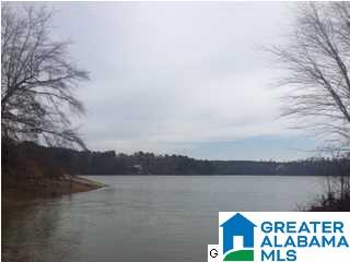 Laurelwood Road, Unit 6 Arley, AL 35541 - Photo 10 of 10