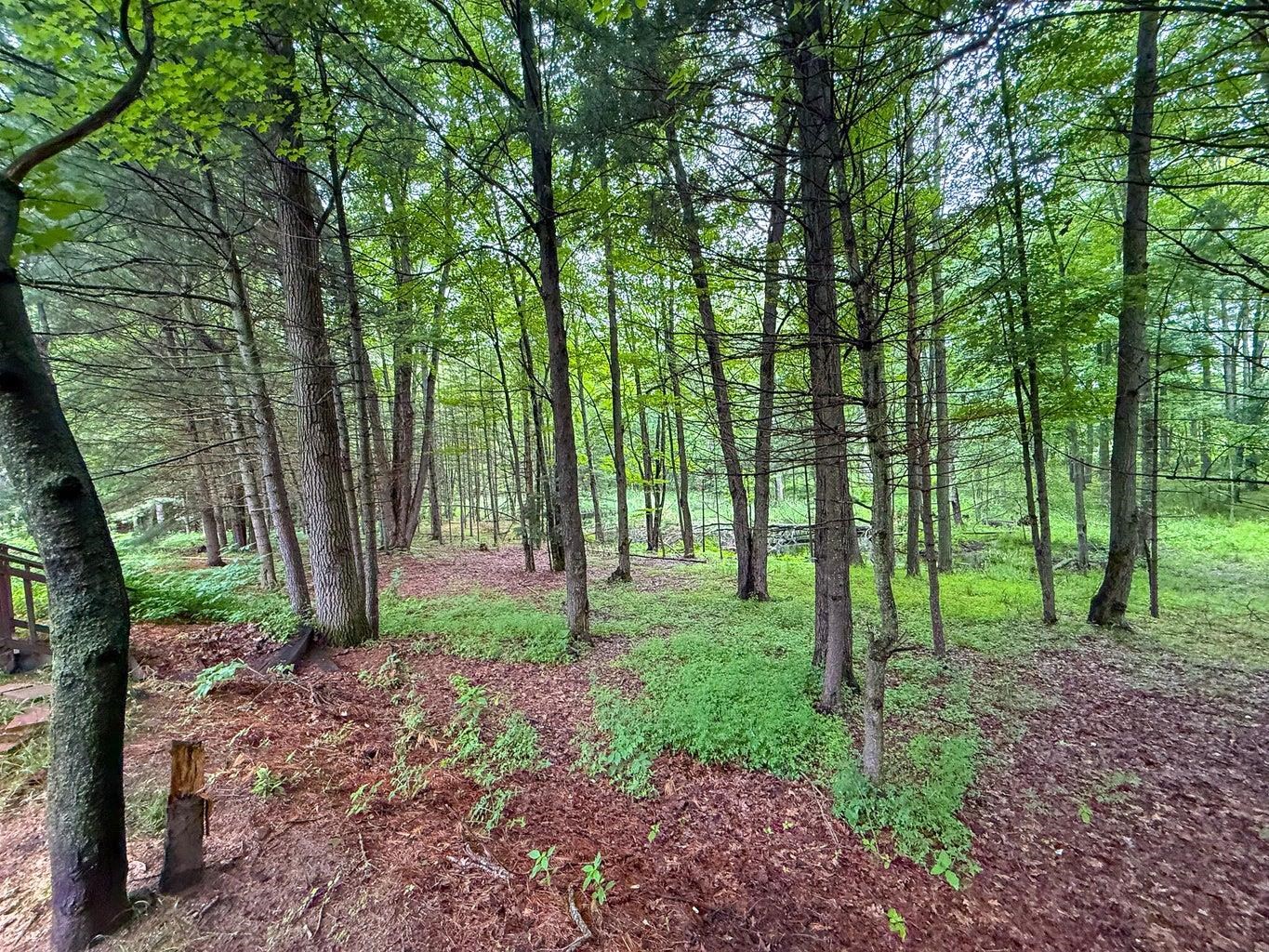 600 Clear Lake Road West Branch, MI 48661 - Photo 27 of 33 1947227-a15a5537-c69c-4ff7-bda3-70b1f4fb712a.JPG