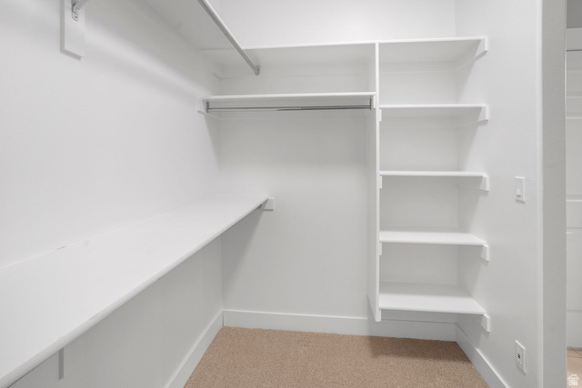 1570 South Rio Virgin Drive Washington, UT 84780 - Photo 37 of 71 Walk in closet featuring light carpet