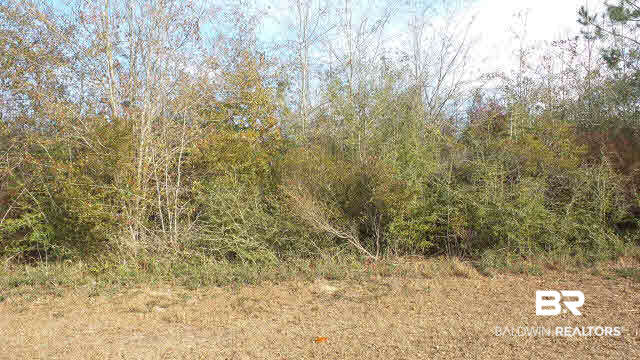 22 Ard Field Road Jay, FL 32565 - Photo 16 of 30