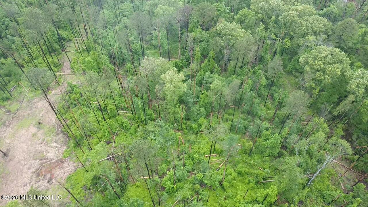 Ford Lane Crystal Springs, MS 39059 - Photo 12 of 15 2026-04-30-12-33-02-357