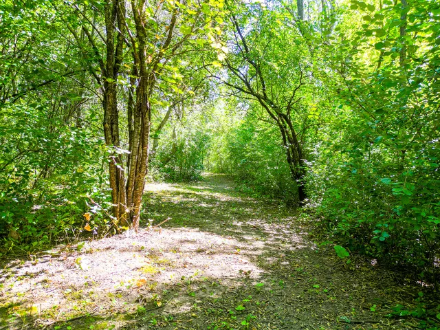 $990,000 | 5619 352nd Avenue, Burlington, WI 53105