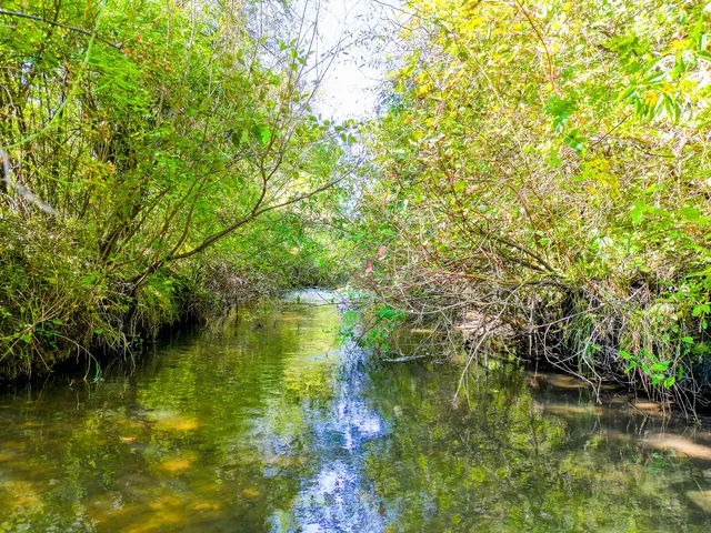 $990,000 | 5619 352nd Avenue, Burlington, WI 53105