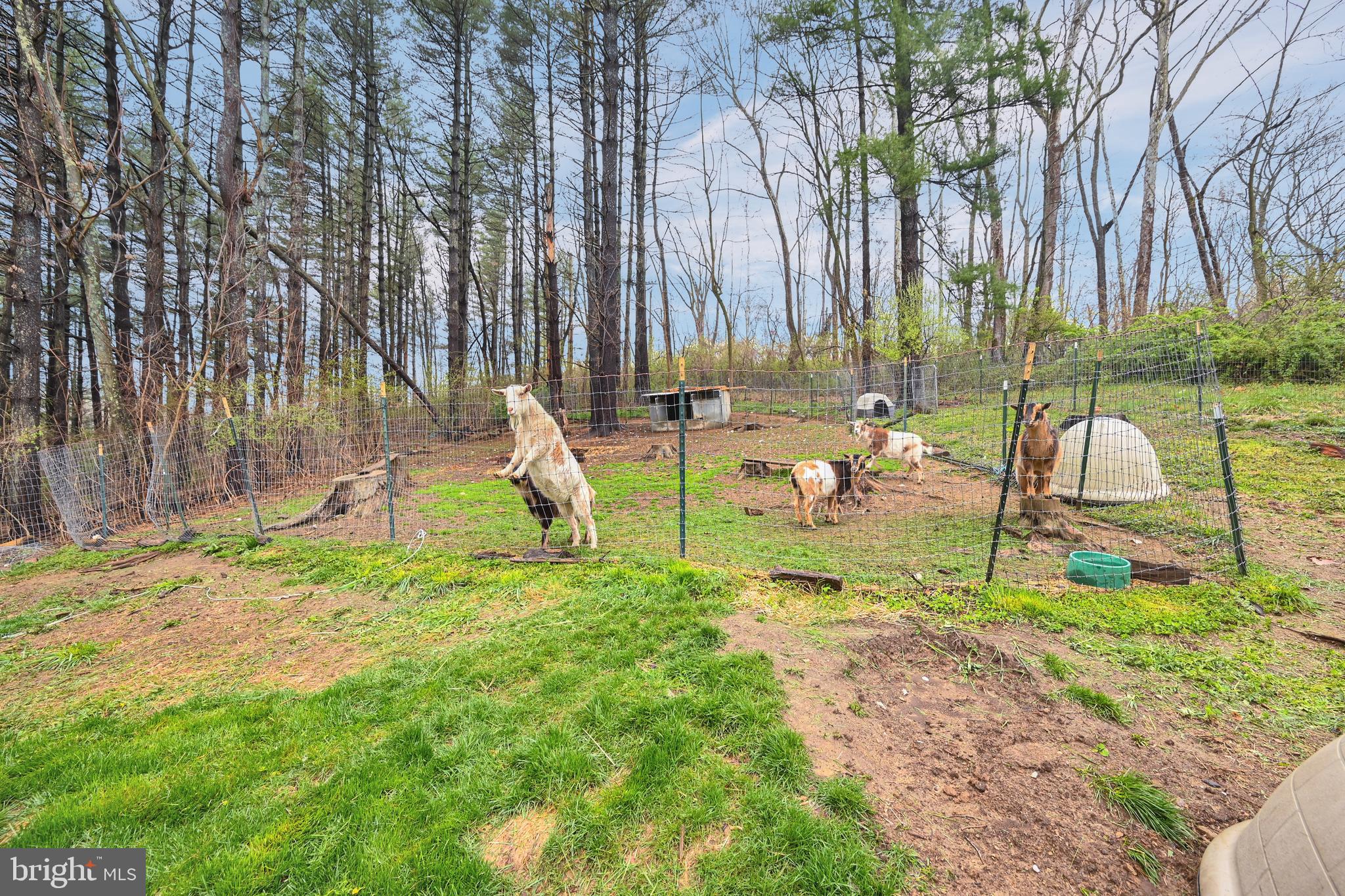 2540 Monument Road Myersville, MD 21773 - Photo 16 of 68