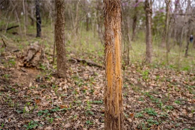 $3,770,175 | Dragoon Creek Road, Harveyville, KS 66431