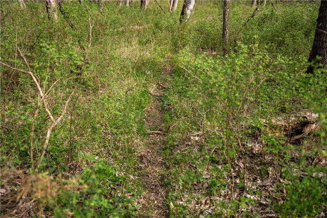 $3,770,175 | Dragoon Creek Road, Harveyville, KS 66431