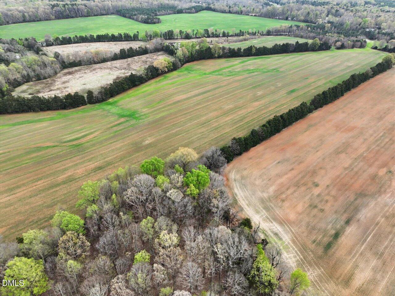7793 Ridgeville Road Leasburg, NC 27291 - Photo 73 of 91